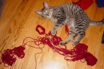 Memix unraveling a ball of yarn